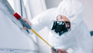 Best Residential Pest Control  in Fort Lewis, WA